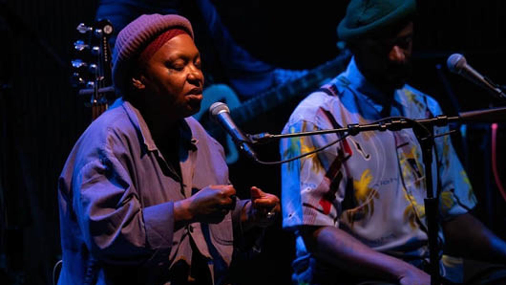 Meshell Ndegeocello: The Omnichord Real Book